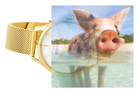 Zegarek damski BSBE90GISX03BX