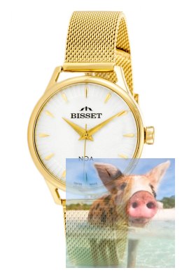 Zegarek damski BSBE90GISX03BX