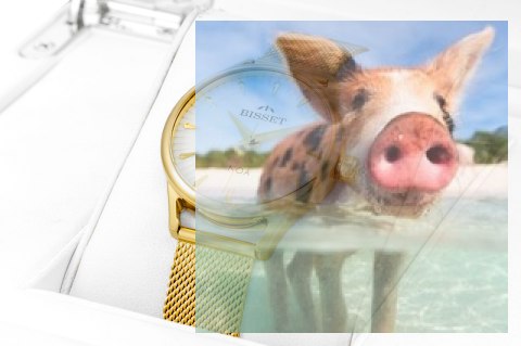 Zegarek damski BSBE90GISX03BX