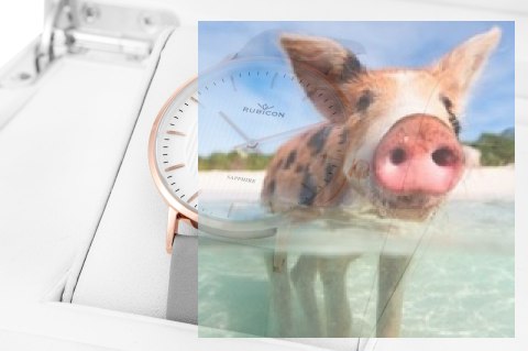 Zegarek damski RNAD75RISX03B1