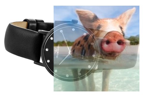 Zegarek damski RNAD87BIBX03BX