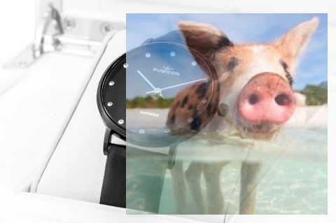 Zegarek damski RNAD87BIBX03BX