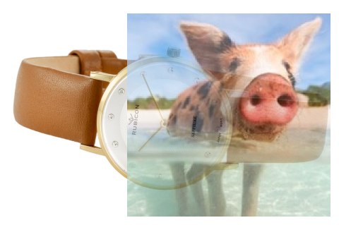 Zegarek damski RNAD87GISX03BX