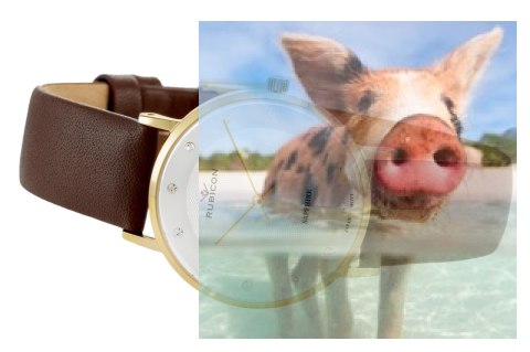 Zegarek damski RNAD87GISY03BX