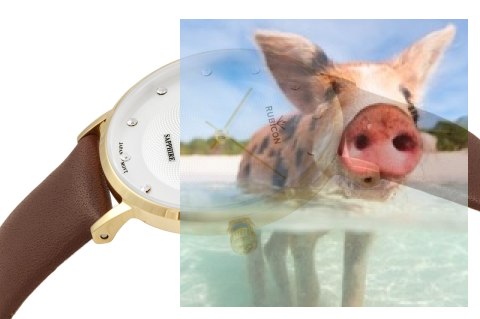 Zegarek damski RNAD87GISY03BX