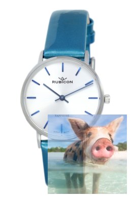 Zegarek damski RNAD87SISD03BX