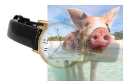 Zegarek damski RNAD91GAWX03BX