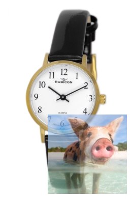 Zegarek damski RNAD91GAWX03BX