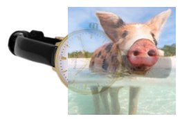 Zegarek damski RNAD94GISX03BX