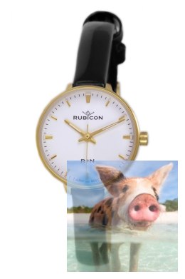 Zegarek damski RNAD94GISX03BX