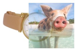 Zegarek damski RNAE26GISX03BX