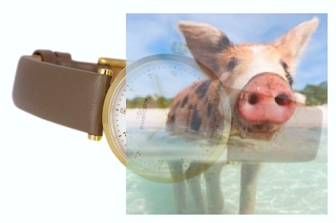 Zegarek damski RNAE26GISY03BX