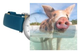 Zegarek damski RNAE26SISD03BX