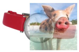 Zegarek damski RNAE26SISR03BX