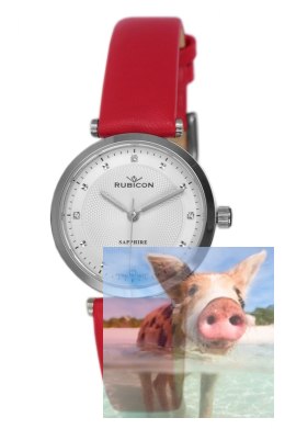 Zegarek damski RNAE26SISR03BX