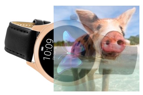 Zegarek damski RNAE36RIBX05AX