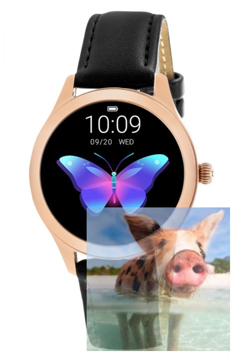 Zegarek damski RNAE36RIBX05AX