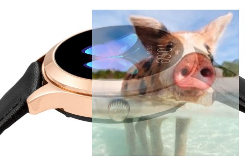 Zegarek damski RNAE36RIBX05AX