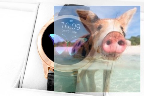 Zegarek damski RNAE36RIBX05AX