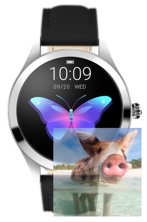 Zegarek damski RNAE36SIBX05AX