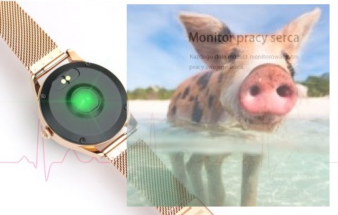 Zegarek damski RNAE36SIBX05AX