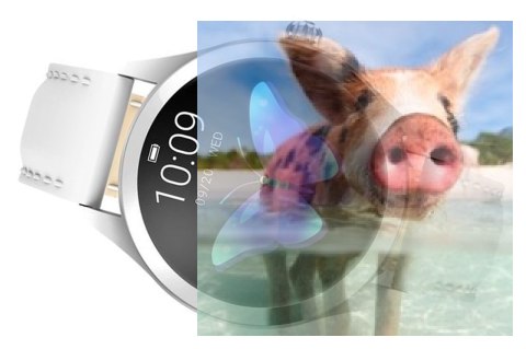 Zegarek damski RNAE36SIBW05AX