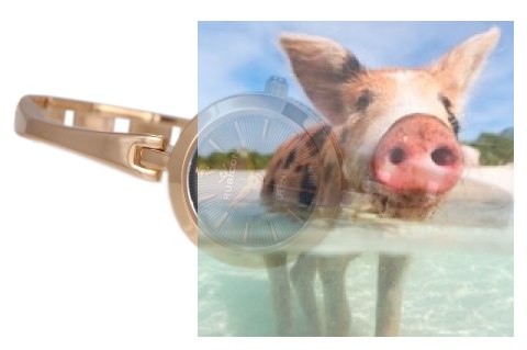 Zegarek damski RNBC99RIVX03BX