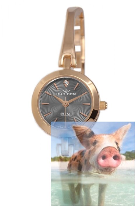 Zegarek damski RNBC99RIVX03BX