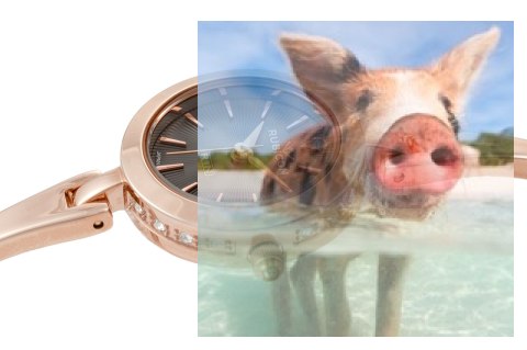 Zegarek damski RNBC99RIVX03BX