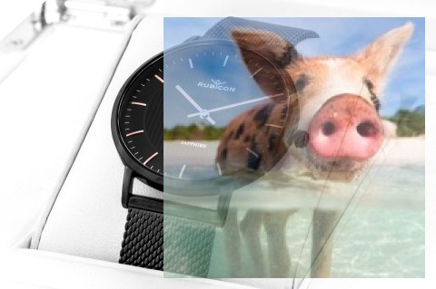 Zegarek damski RNBD76BIBZ03B1