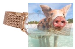 Zegarek damski RNBE11RISX03BX