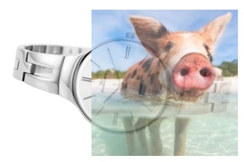 Zegarek damski RNBE31SISX03BX