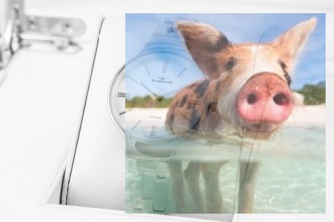 Zegarek damski RNBE31SISX03BX