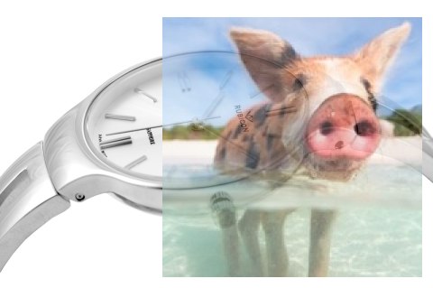 Zegarek damski RNBE31SISX03BX