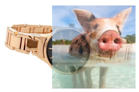 Zegarek damski RNBE32RIVX03BX