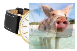 Zegarek męski BSCE75GISX03BX