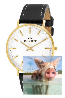 Zegarek męski BSCE75GISX03BX