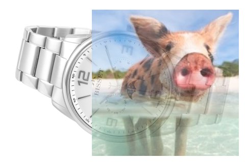 Zegarek męski BSDF45SMSX05AX