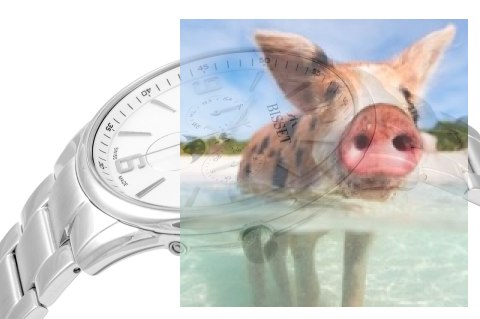 Zegarek męski BSDF45SMSX05AX