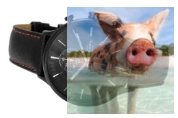 Zegarek męski RNCD96BIBX05AX