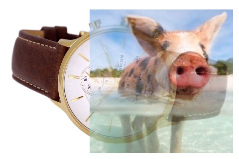 Zegarek męski RNCD96GISX05AX