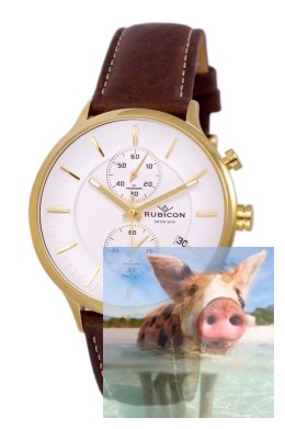 Zegarek męski RNCD96GISX05AX