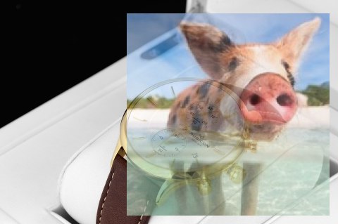 Zegarek męski RNCD96GISX05AX