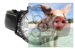 Zegarek męski RNCE02BMSX05AX