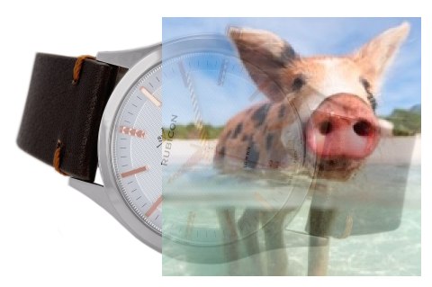 Zegarek męski RNCE06SISZ03BX Zegarek męski RNCE06SISZ03BX