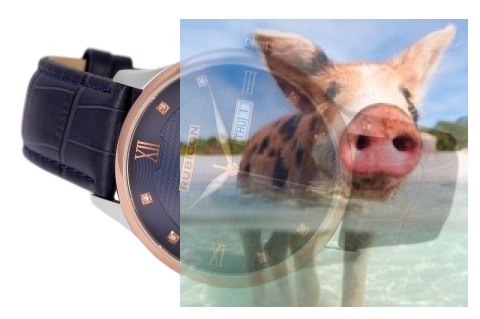 Zegarek męski RNCE19TWDX05BX