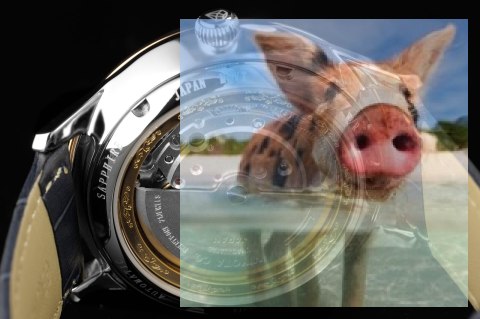 Zegarek męski RNCE19TWDX05BX