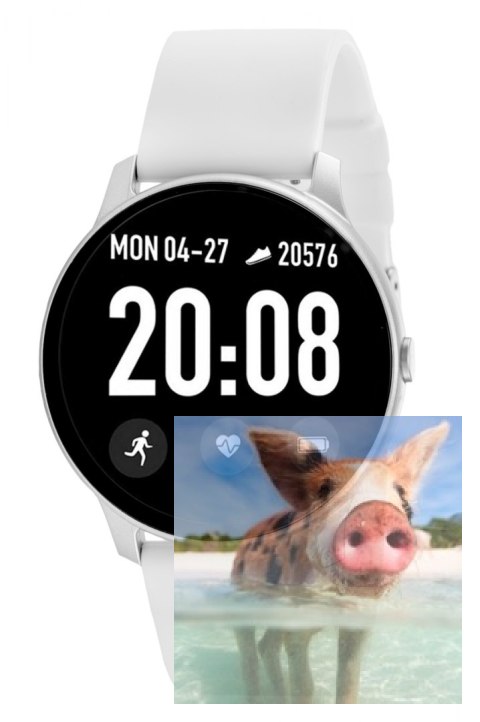 Zegarek męski RNCE40SIBX01AX