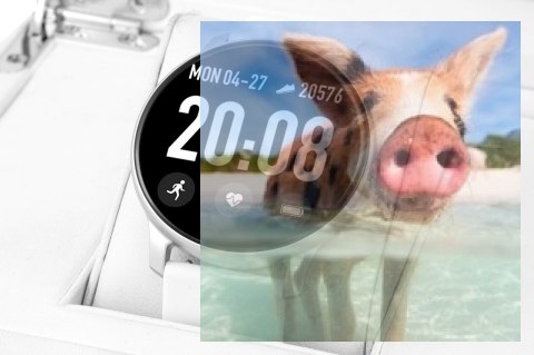 Zegarek męski RNCE40SIBX01AX