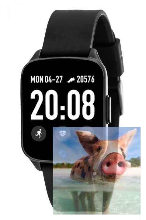 Zegarek męski RNCE42BIBX01AX